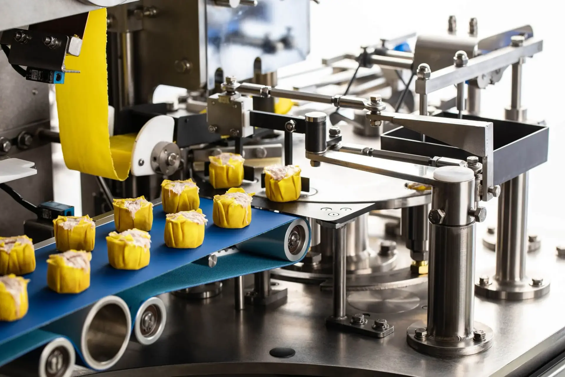 ANKO solutions food factory 1