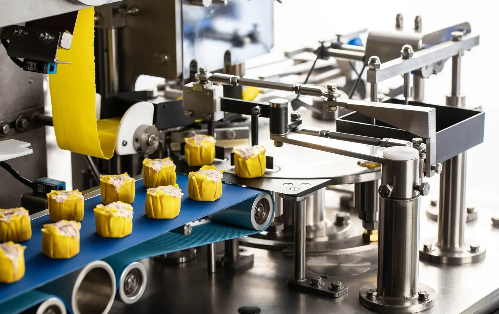 ANKO solutions food factory e1748707765652